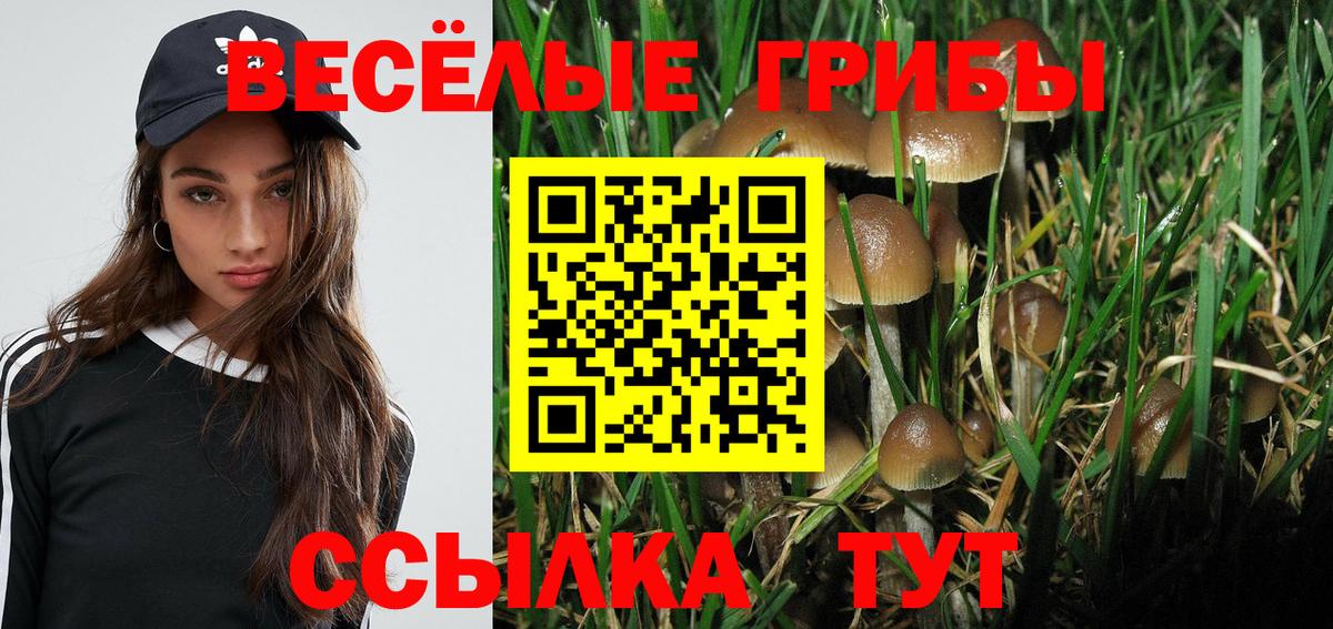 Кинешма  Галлюциногенные грибы мухоморы  Вход с VPN  купить   Псилоцибиновые грибы Magic Shrooms 